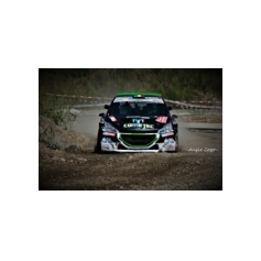 Andrea Basso / Matteo Gambasin - Rally Città di Scorzé 2018
