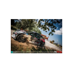 Andrea Basso / Matteo Gambasin - Rally Città di Scorzé 2018