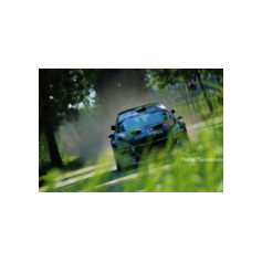 Andrea Basso / Matteo Gambasin - Rally Città di Scorzé 2018