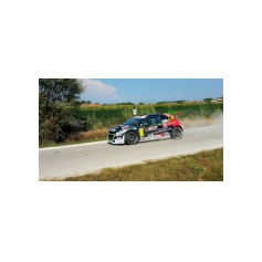 Andrea Basso / Matteo Gambasin - Rally Città di Scorzé 2018