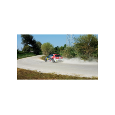 Andrea Basso / Matteo Gambasin - Rally Città di Scorzé 2018