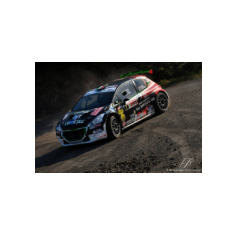 Andrea Basso / Matteo Gambasin - Rally Città di Scorzé 2018