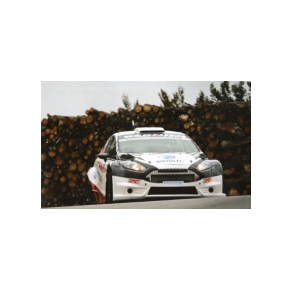 Carlo Berchio / Mirko Perrone - Rally Valli del Bormida 2014