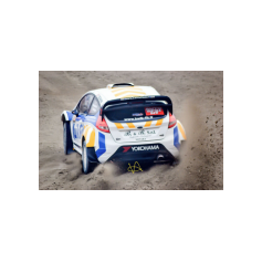 Alessandro Bettega - Memorial Bettega 2016