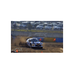 Alessandro Bettega - Memorial Bettega 2016