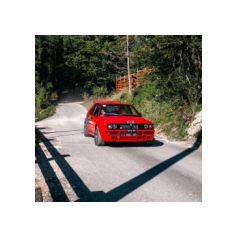 Amiki Miei 2022, Altopiano di Asiago (VI) - Italia - 18 Settembre 2022 - Miki in esibizione con la sua #001