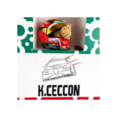 Kevin Ceccon - TCR Italy 2018 - Autodromo Enzo e Dino Ferrari, Imola (ITA)