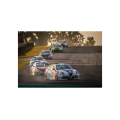 Fabrizio Giovanardi e Kevin Ceccon - WTCR 2018 - Slovakia Ring (SVK)