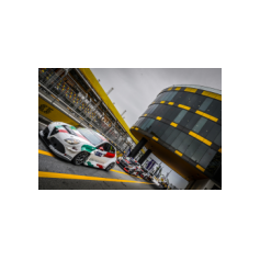 Kevin Ceccon - WTCR 2018 - Guia Circuit Macau (MAC)