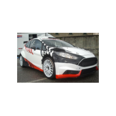 Gabriele Ciavarella / Michele Perna - Rally degli Abeti e dell'Abetone 2014