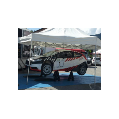 Gabriele Ciavarella / Michele Perna - Rally degli Abeti e dell'Abetone 2014