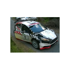 Gabriele Ciavarella / Michele Perna - Rally degli Abeti e dell'Abetone 2014