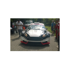 Gabriele Ciavarella / Michele Perna - Rally degli Abeti e dell'Abetone 2014