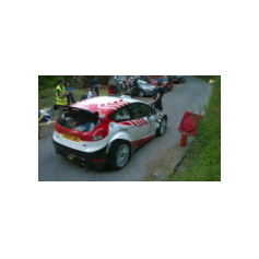 Gabriele Ciavarella / Michele Perna - Rally degli Abeti e dell'Abetone 2014