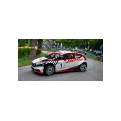 Gabriele Ciavarella / Michele Perna - Rally degli Abeti e dell'Abetone 2014