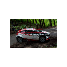 Gabriele Ciavarella / Michele Perna - Rally degli Abeti e dell'Abetone 2014