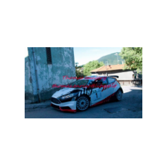 Gabriele Ciavarella / Michele Perna - Rally degli Abeti e dell'Abetone 2014