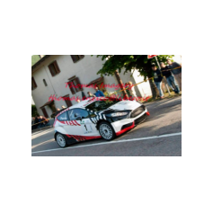 Gabriele Ciavarella / Michele Perna - Rally degli Abeti e dell'Abetone 2014