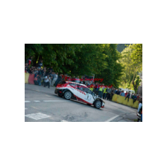 Gabriele Ciavarella / Michele Perna - Rally degli Abeti e dell'Abetone 2014