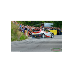 Gabriele Ciavarella / Michele Perna - Rally degli Abeti e dell'Abetone 2014