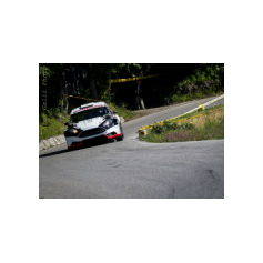 Gabriele Ciavarella / Michele Perna - Rally degli Abeti e dell'Abetone 2014