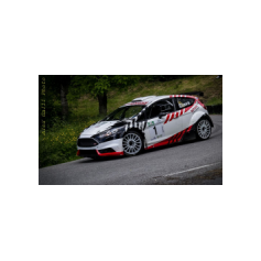 Gabriele Ciavarella / Michele Perna - Rally degli Abeti e dell'Abetone 2014
