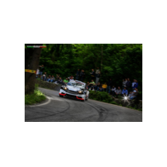 Gabriele Ciavarella / Michele Perna - Rally degli Abeti e dell'Abetone 2014