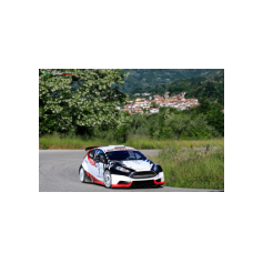 Gabriele Ciavarella / Michele Perna - Rally degli Abeti e dell'Abetone 2014