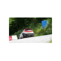 Gabriele Ciavarella / Michele Perna - Rally degli Abeti e dell'Abetone 2014