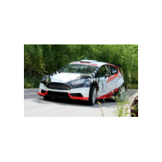 Gabriele Ciavarella / Michele Perna - Rally degli Abeti e dell'Abetone 2014