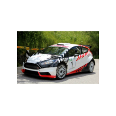 Gabriele Ciavarella / Michele Perna - Rally degli Abeti e dell'Abetone 2014