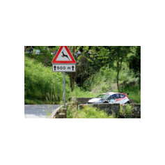 Gabriele Ciavarella / Michele Perna - Rally degli Abeti e dell'Abetone 2014