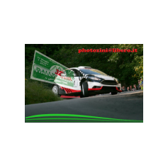 Gabriele Ciavarella / Michele Perna - Rally degli Abeti e dell'Abetone 2014