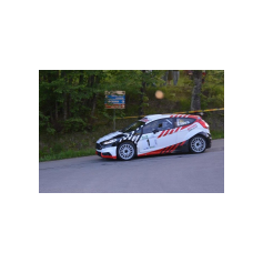 Gabriele Ciavarella / Michele Perna - Rally degli Abeti e dell'Abetone 2014