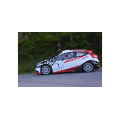 Gabriele Ciavarella / Michele Perna - Rally degli Abeti e dell'Abetone 2014