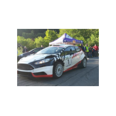 Gabriele Ciavarella / Michele Perna - Rally degli Abeti e dell'Abetone 2014