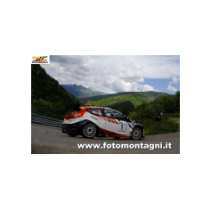 Gabriele Ciavarella / Michele Perna - Rally degli Abeti e dell'Abetone 2014