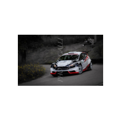 Gabriele Ciavarella / Michele Perna - Rally degli Abeti e dell'Abetone 2014