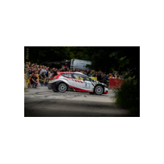 Gabriele Ciavarella / Michele Perna - Rally degli Abeti e dell'Abetone 2014