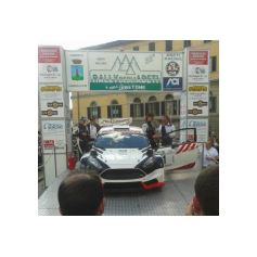 Gabriele Ciavarella / Michele Perna - Rally degli Abeti e dell'Abetone 2014