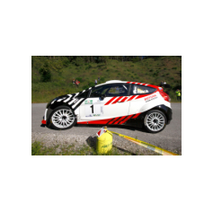 Gabriele Ciavarella / Michele Perna - Rally degli Abeti e dell'Abetone 2014