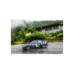 Andrea Crugnola / Luca Maria Succi - Rally Valli Ossolane 2024