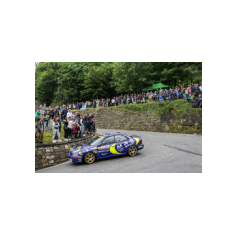 Andrea Crugnola / Luca Maria Succi - Rally Valli Ossolane 2024