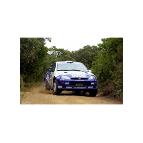 Emanuele Dati / Max Chiapponi - Rally Costa Smeralda Terra Sarda 2001