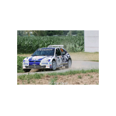 François Delecour / Fabrice Gordon - Ardeca Ypres Historic Rally 2026