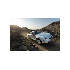 Lorenzo Delladio / Guido Guerrini - Dakar Classic 2026