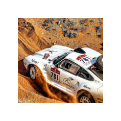 Lorenzo Delladio / Guido Guerrini - Dakar Classic 2026