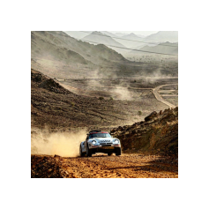 Lorenzo Delladio / Guido Guerrini - Dakar Classic 2026