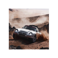 Lorenzo Delladio / Guido Guerrini - Dakar Classic 2026