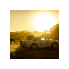 Lorenzo Delladio / Guido Guerrini - Dakar Classic 2026